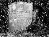 image of grave number 61119